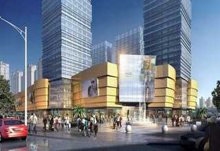 石家庄中**链板输送机