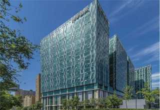 葡聚糖大米厂家直销