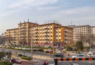 贵州性能优良Z850多道组合式视觉数粒机