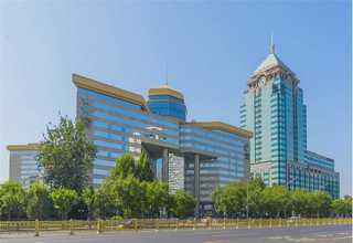 普陀区辐射松木板哪家好